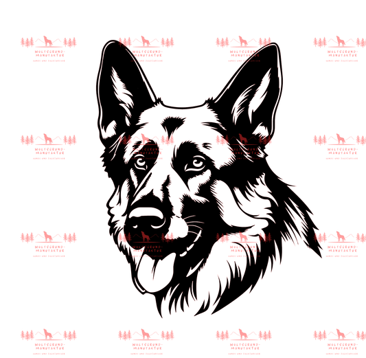 Deutscher Schäferhund 2