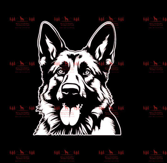 Deutscher Schäferhund 3
