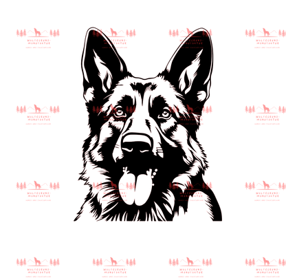 Deutscher Schäferhund 3