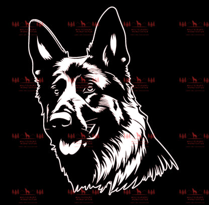 Deutscher Schäferhund 4