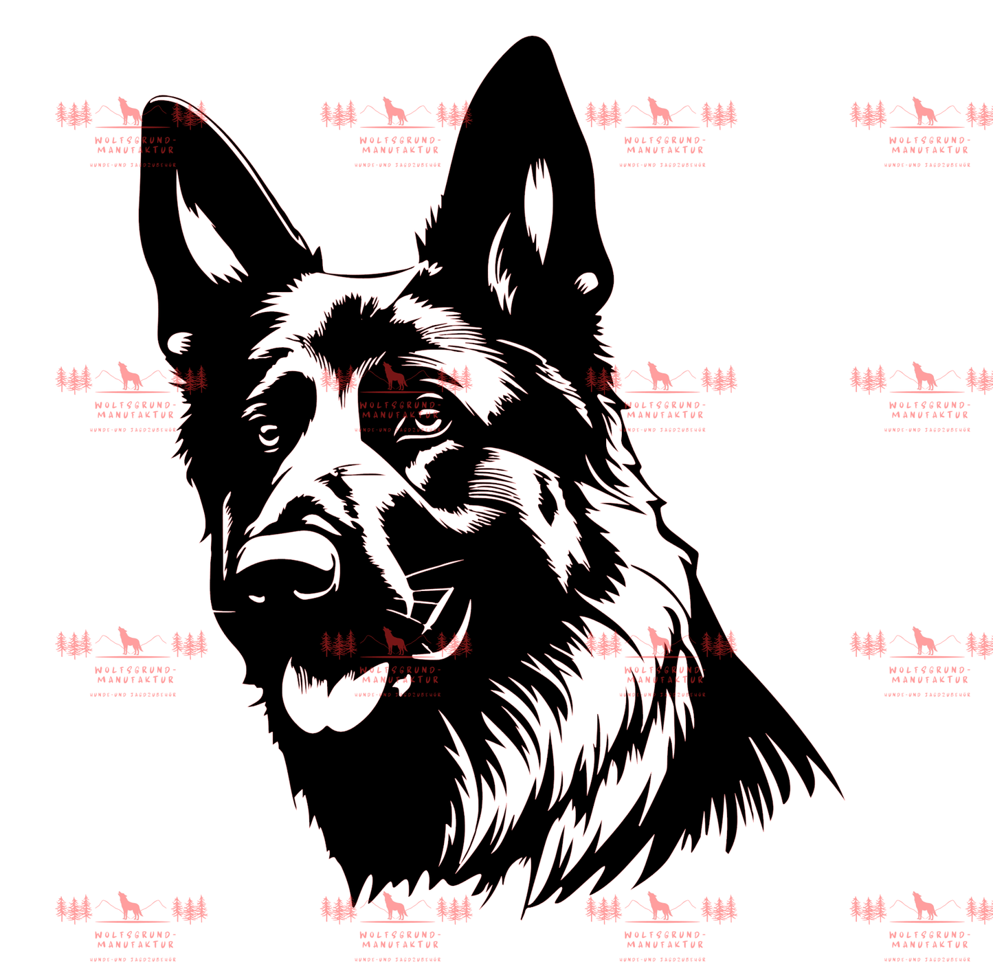 Deutscher Schäferhund 4