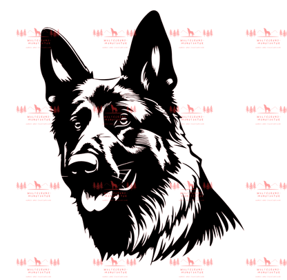 Deutscher Schäferhund 4