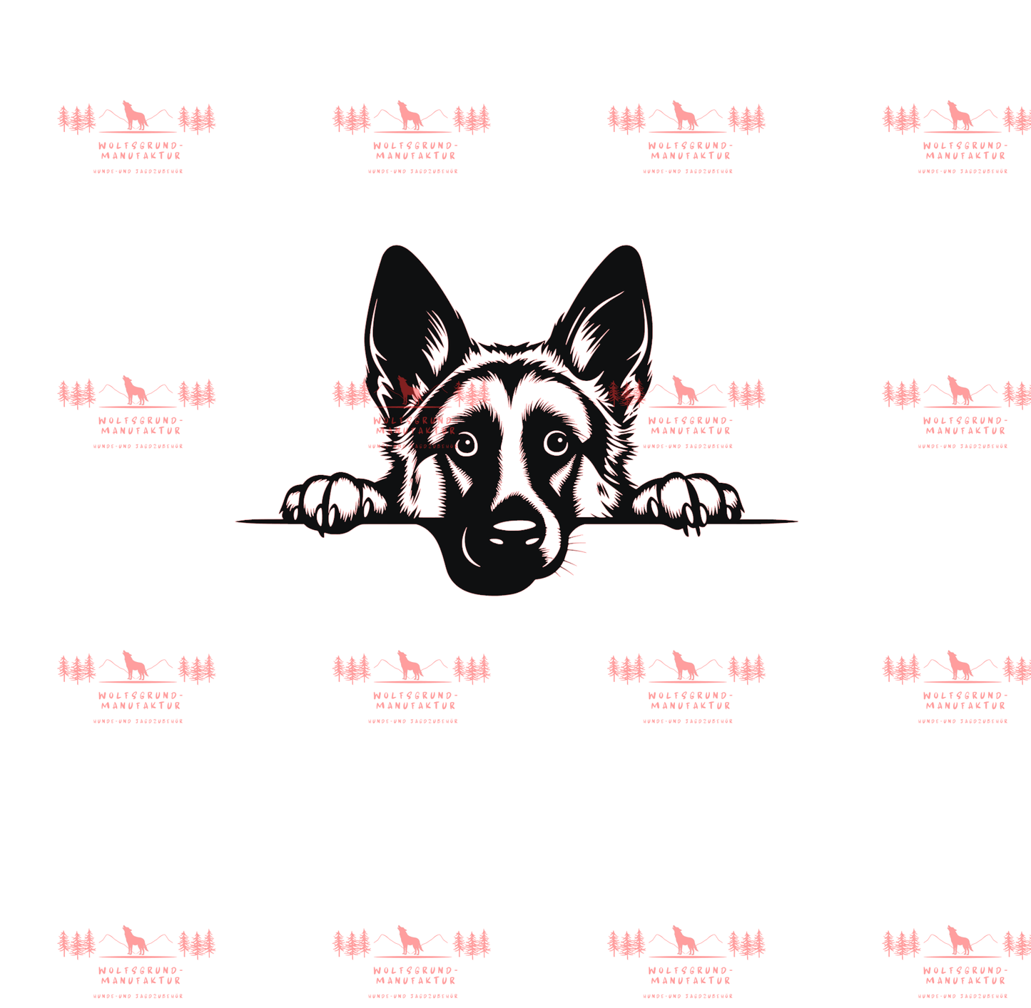Deutscher Schäferhund 5