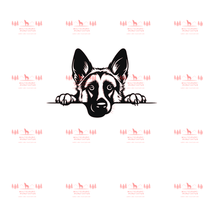 Deutscher Schäferhund 5