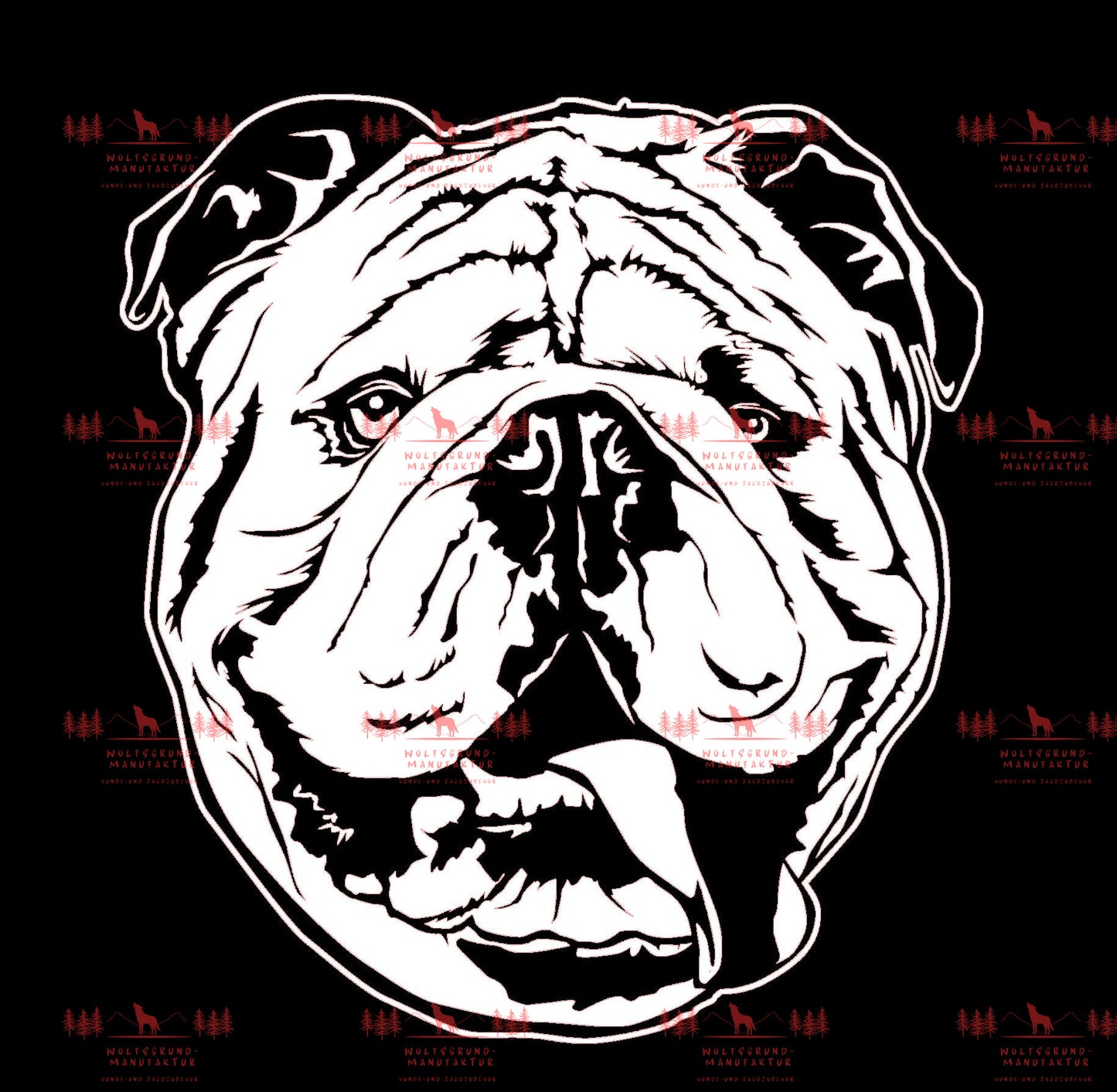 Englische Bulldogge 2