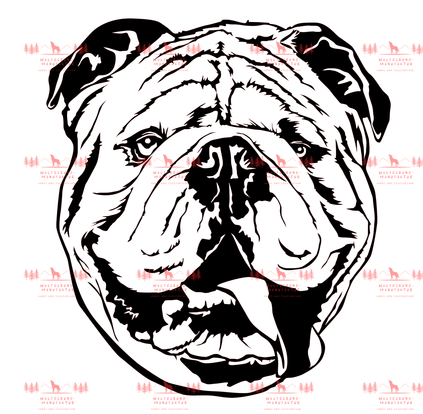 Englische Bulldogge 2