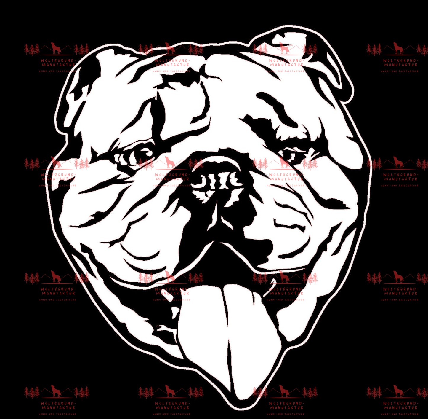 Englische Bulldogge 4