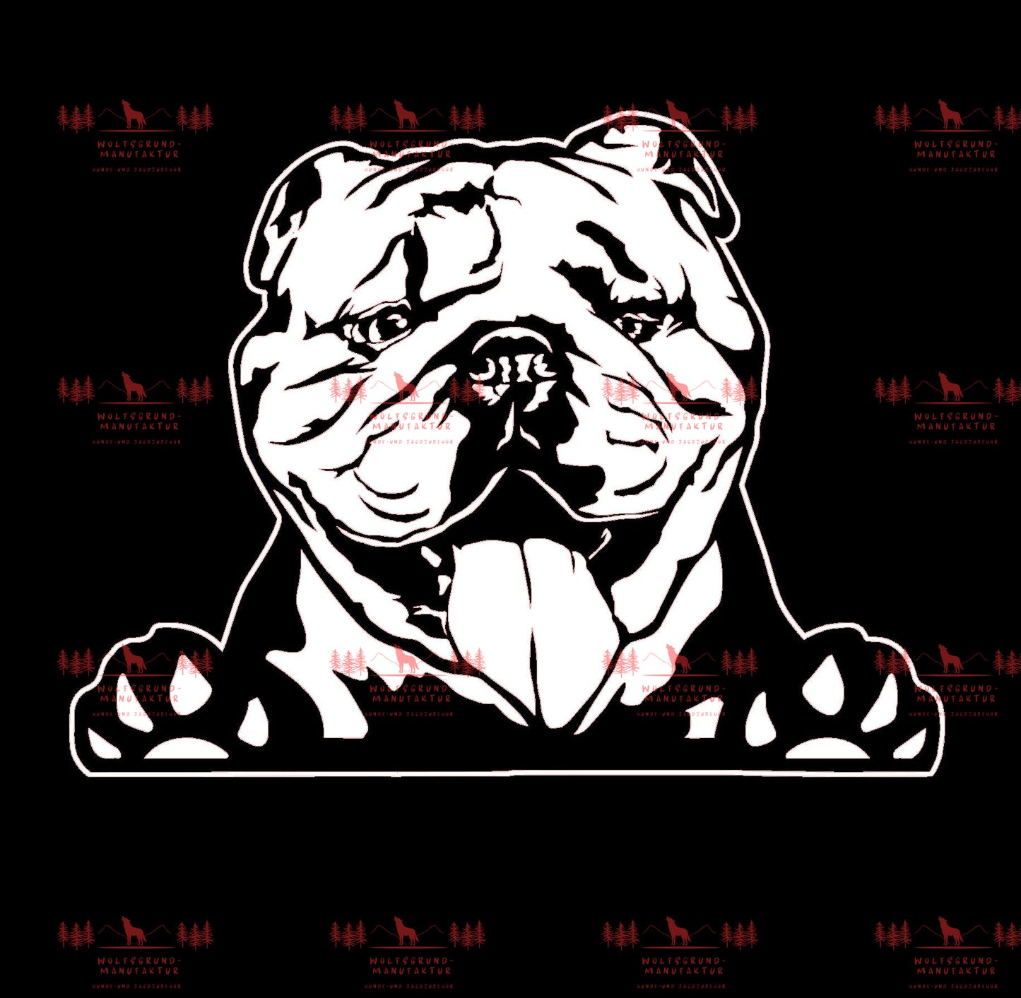 Englische Bulldogge 5