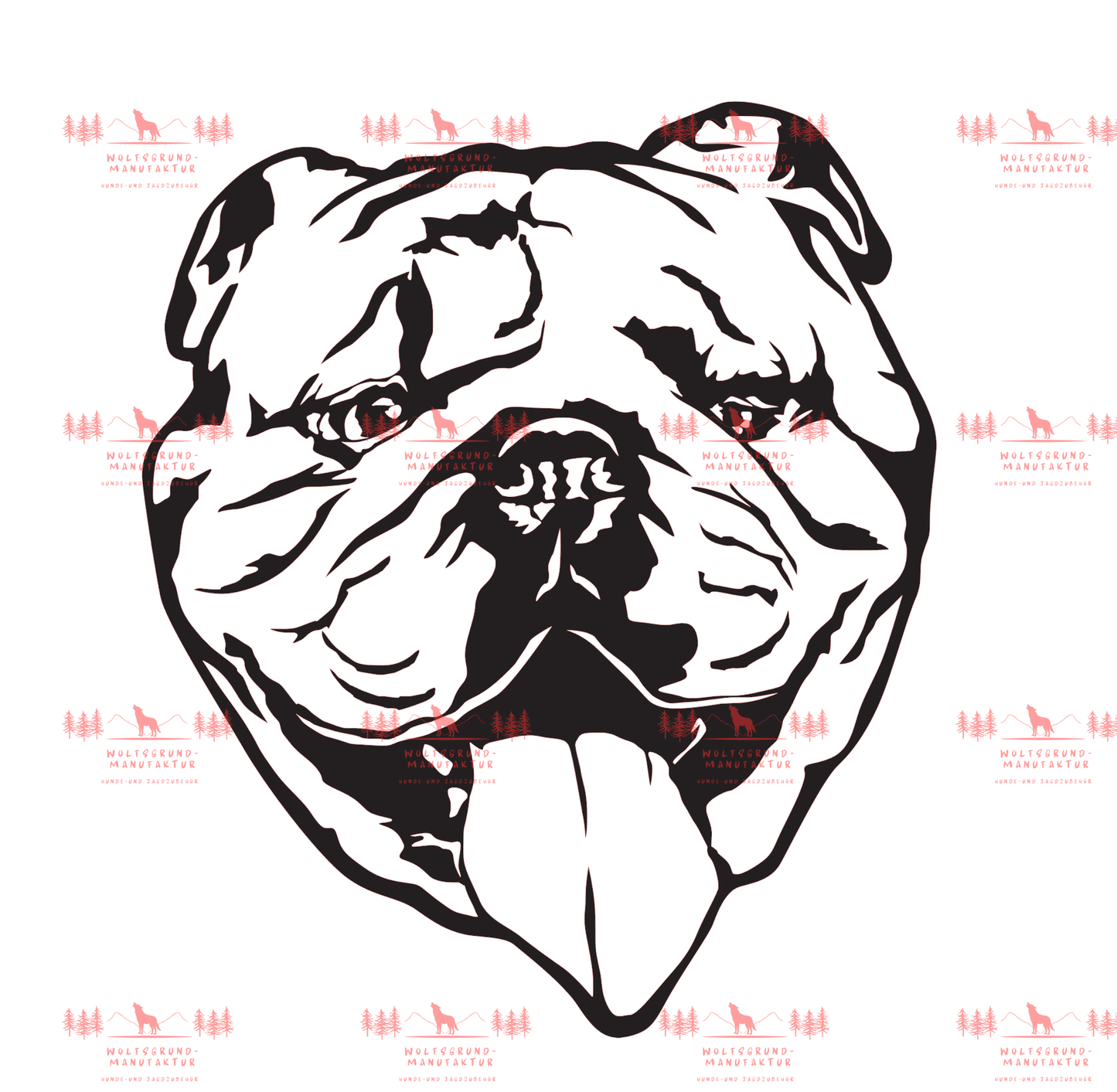 Englische Bulldogge 4