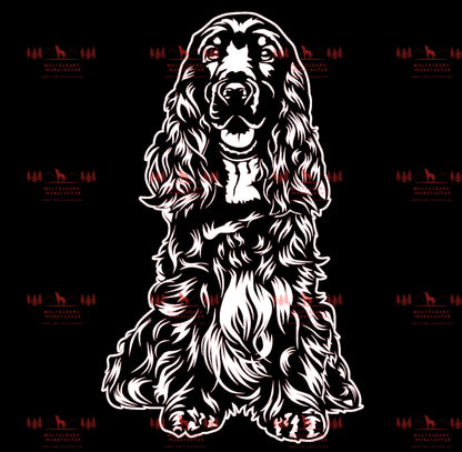 English Cocker Spaniel 1