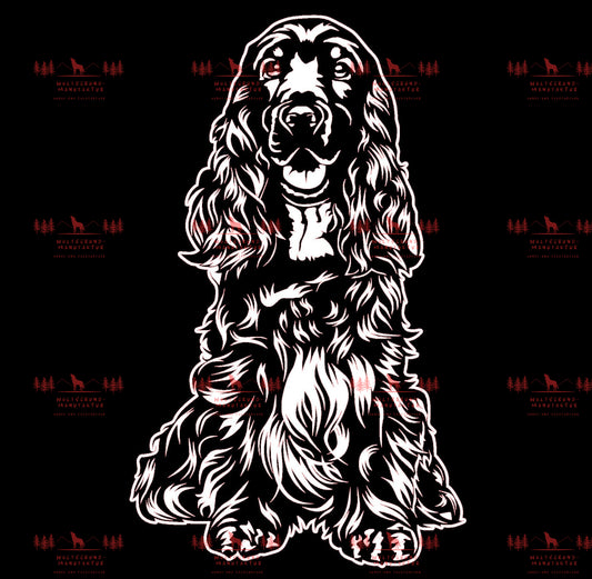 English Cocker Spaniel 1