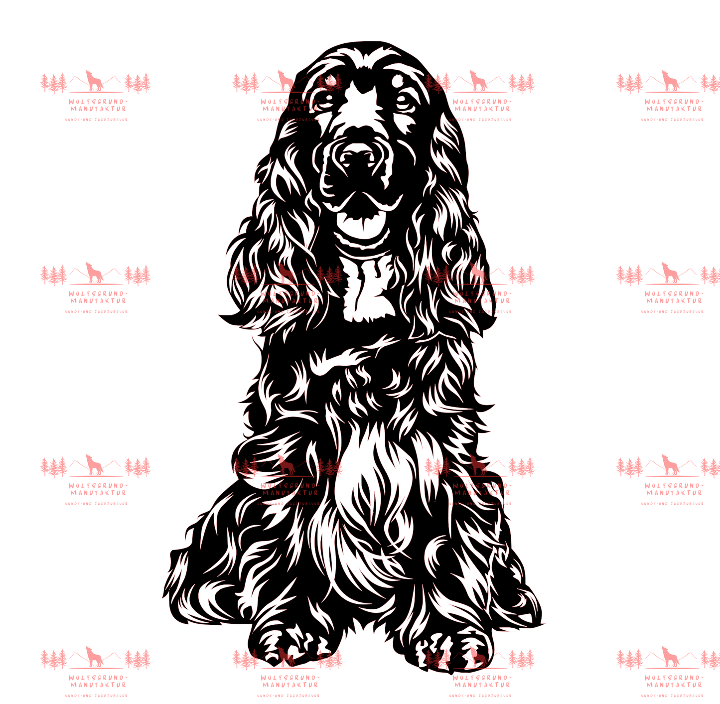 English Cocker Spaniel 1