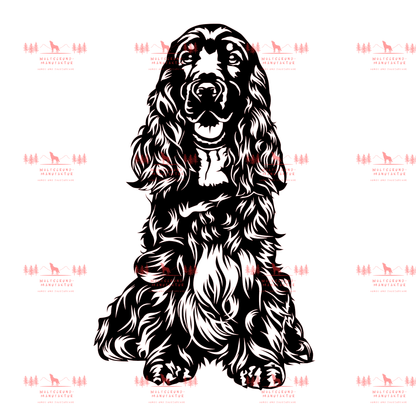 English Cocker Spaniel 1
