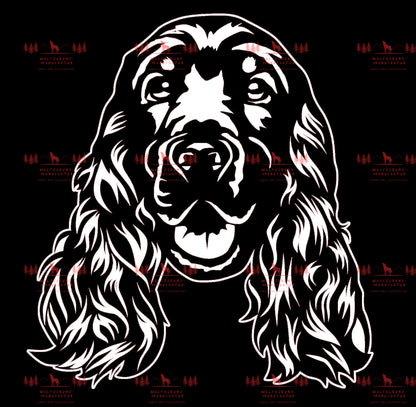 English Cocker Spaniel 2