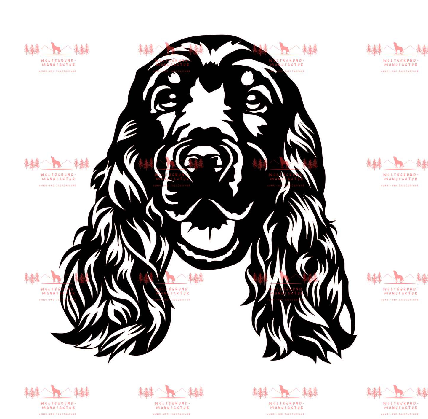 English Cocker Spaniel 2