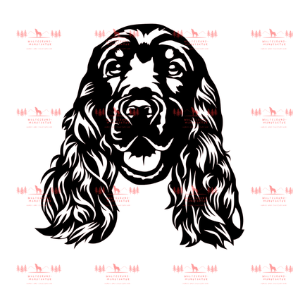 English Cocker Spaniel 2