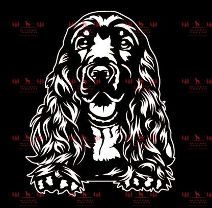 English Cocker Spaniel 3