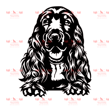 English Cocker Spaniel 3