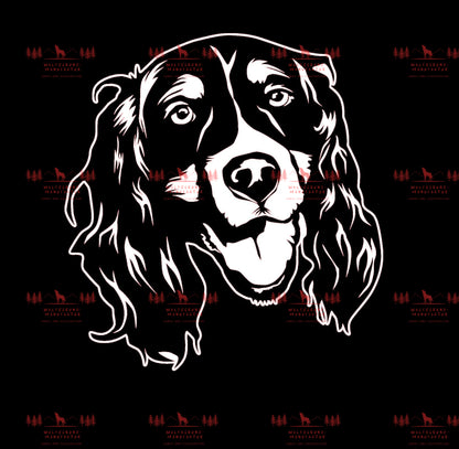English Springer Spaniel 1