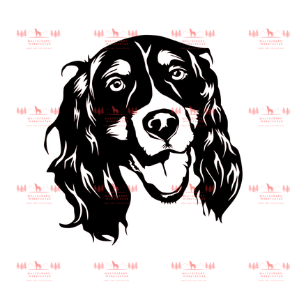 English Springer Spaniel 1