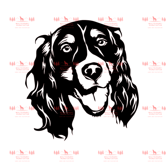 English Springer Spaniel 1