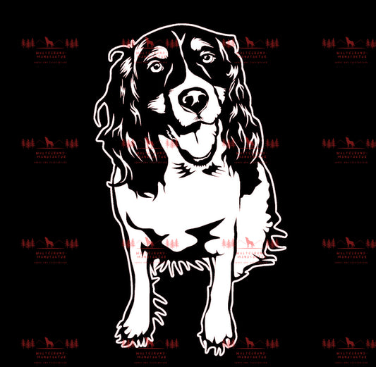 English Springer Spaniel 2