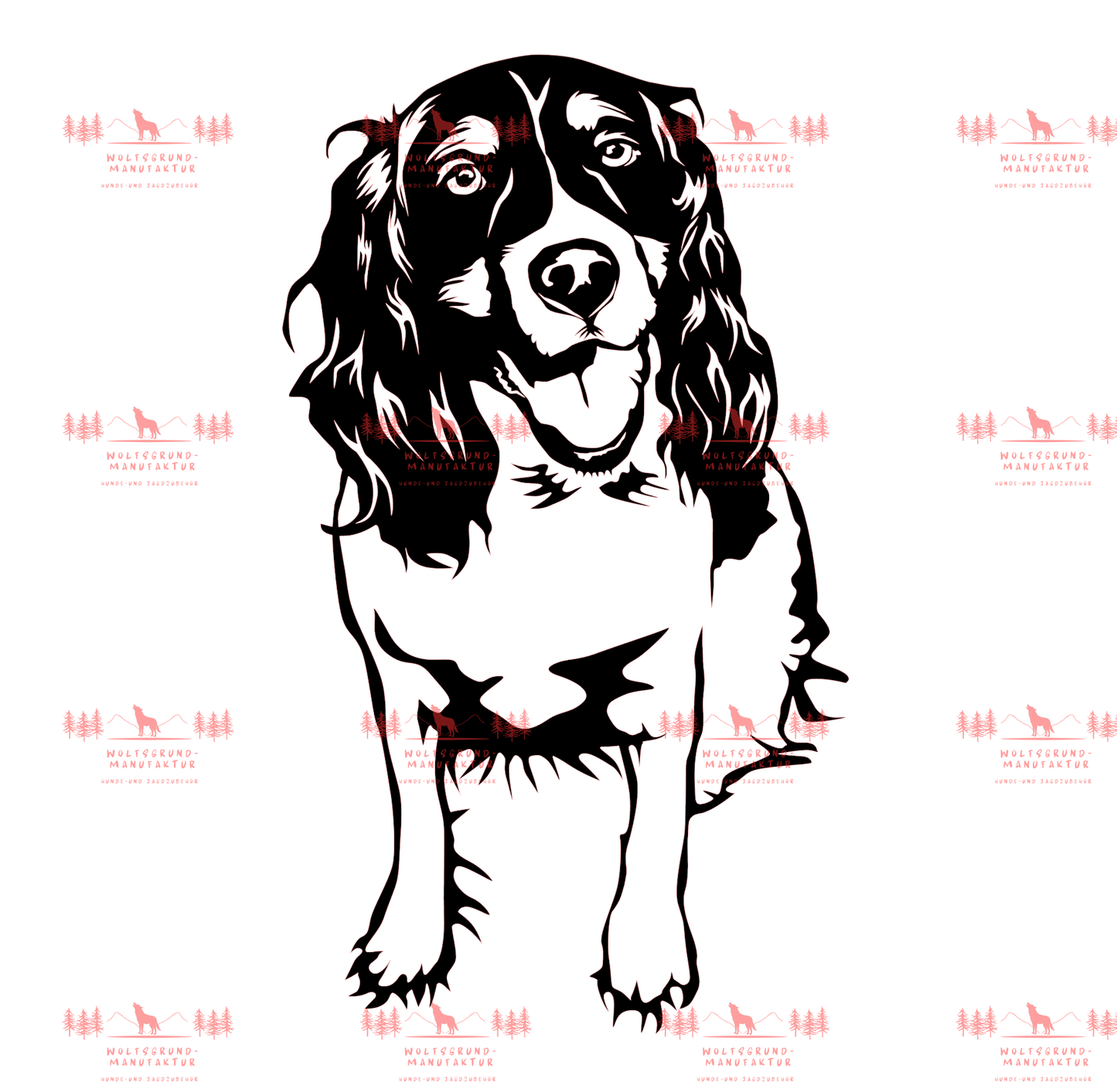 English Springer Spaniel 2