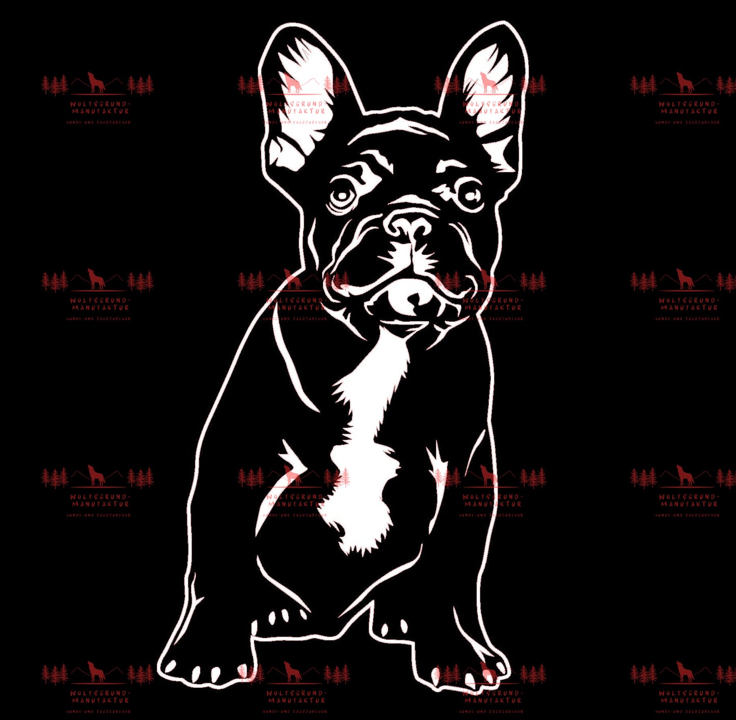 Französische Bulldogge 1