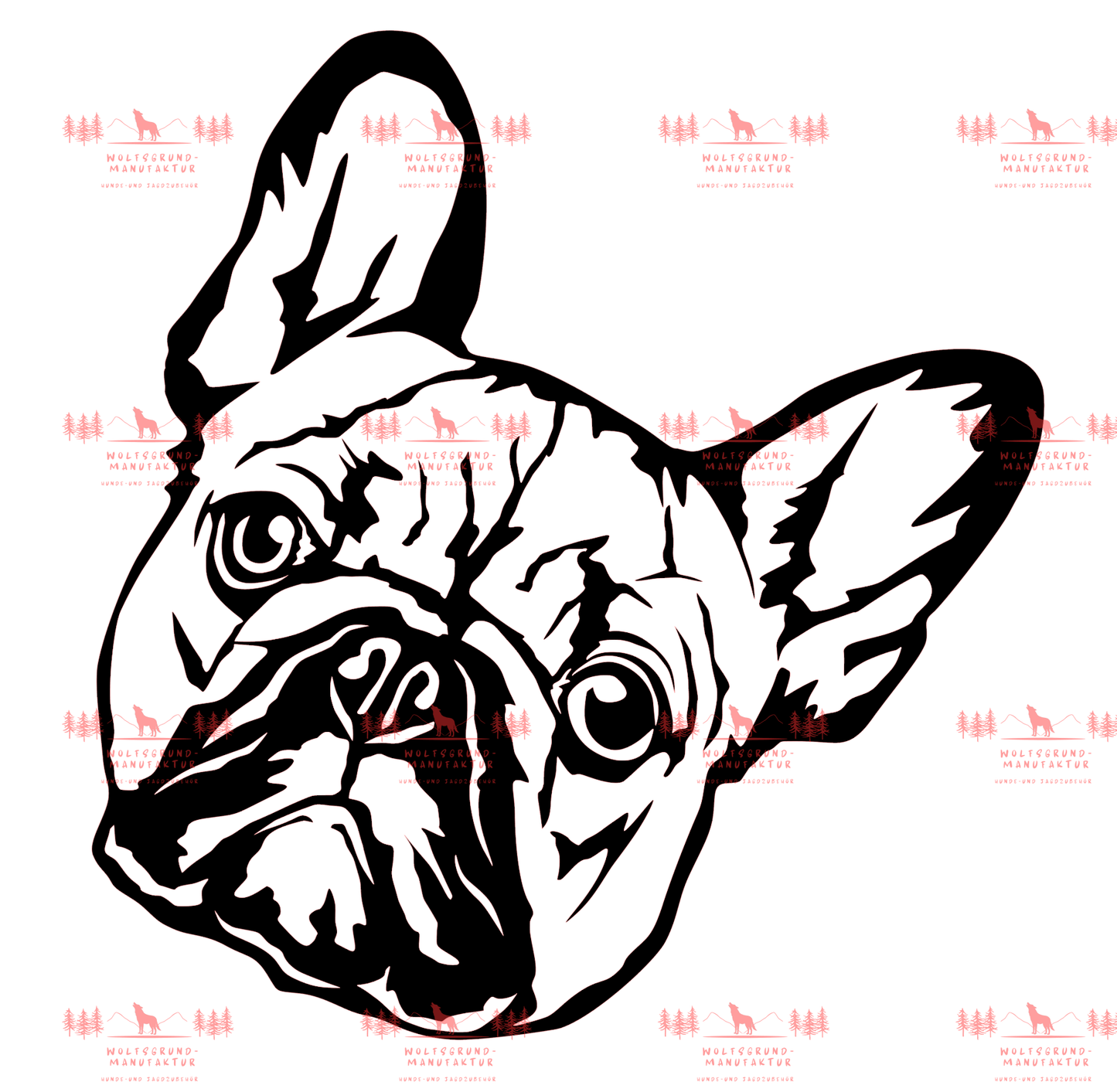 Französische Bulldogge 2