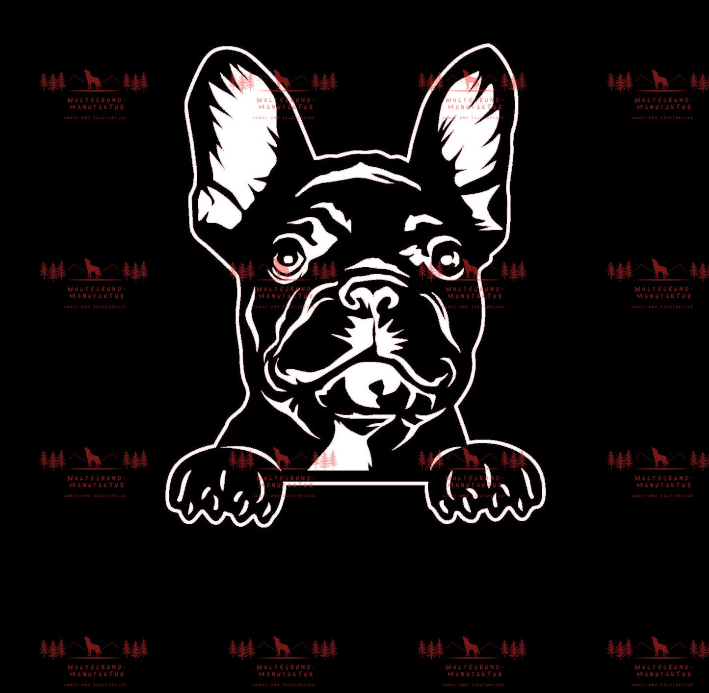 Französische Bulldogge 3