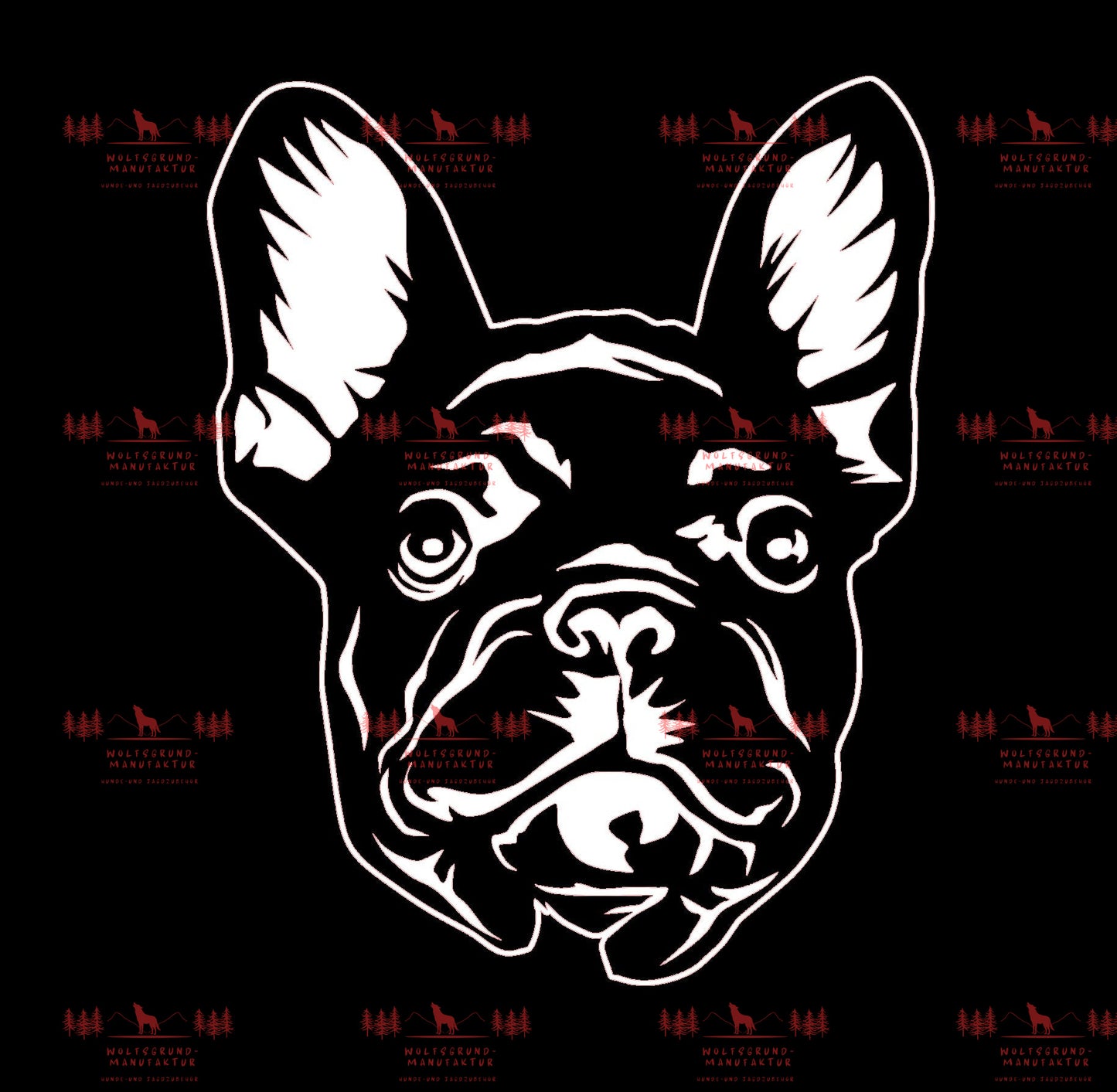 Französische Bulldogge 4