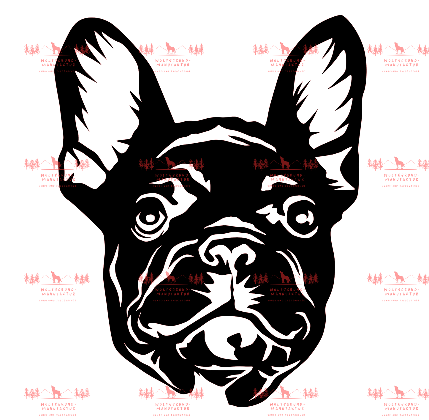 Französische Bulldogge 4