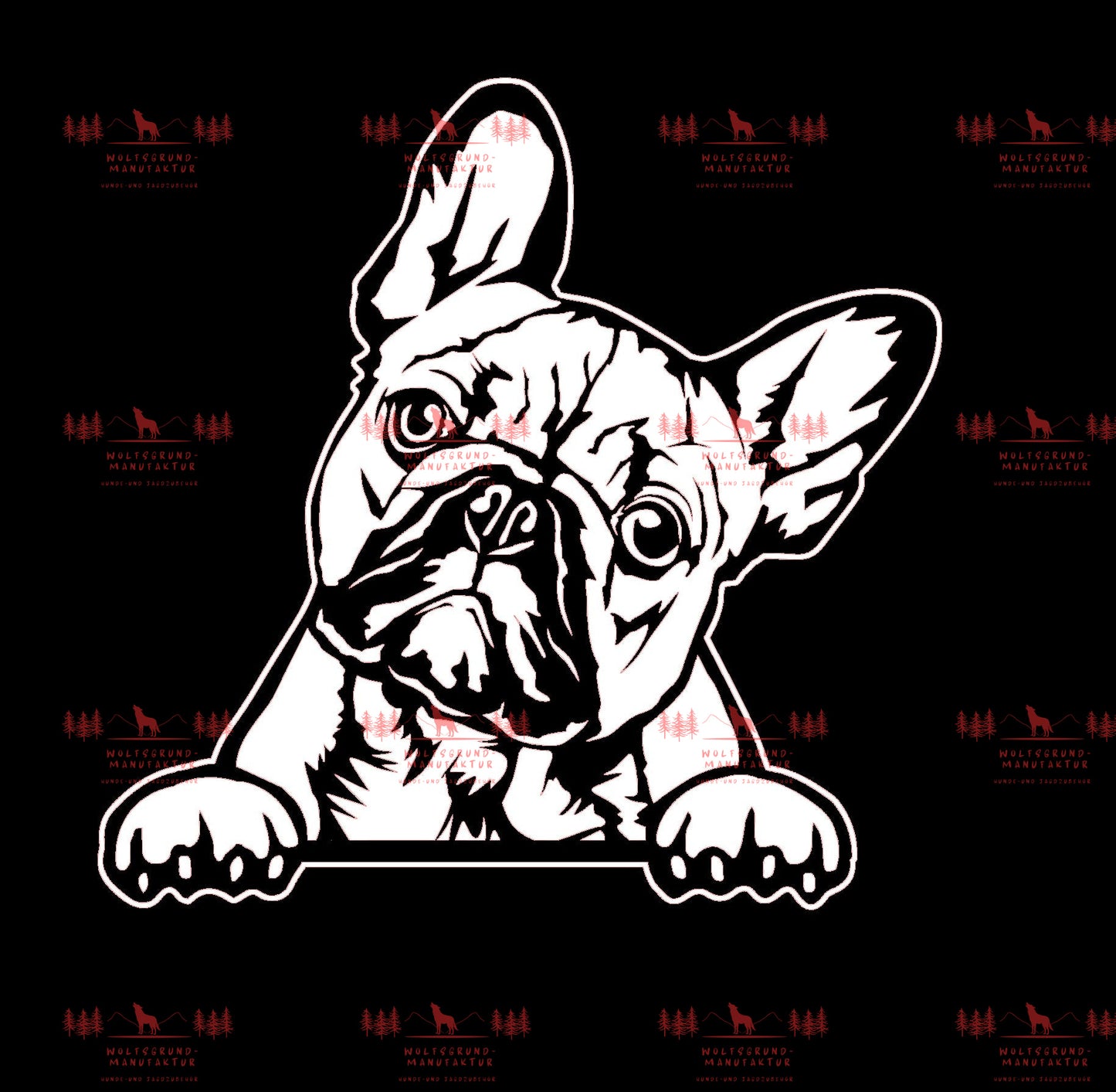 Französische Bulldogge 5