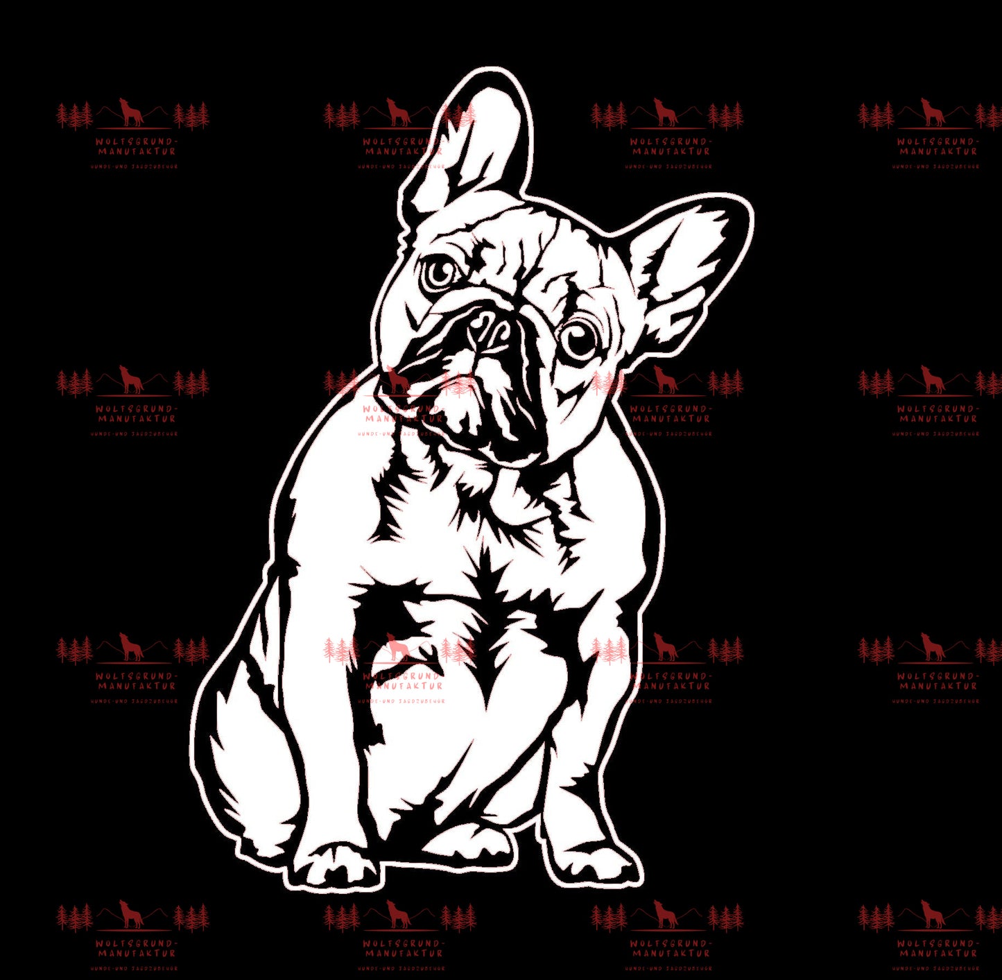 Französische Bulldogge 6