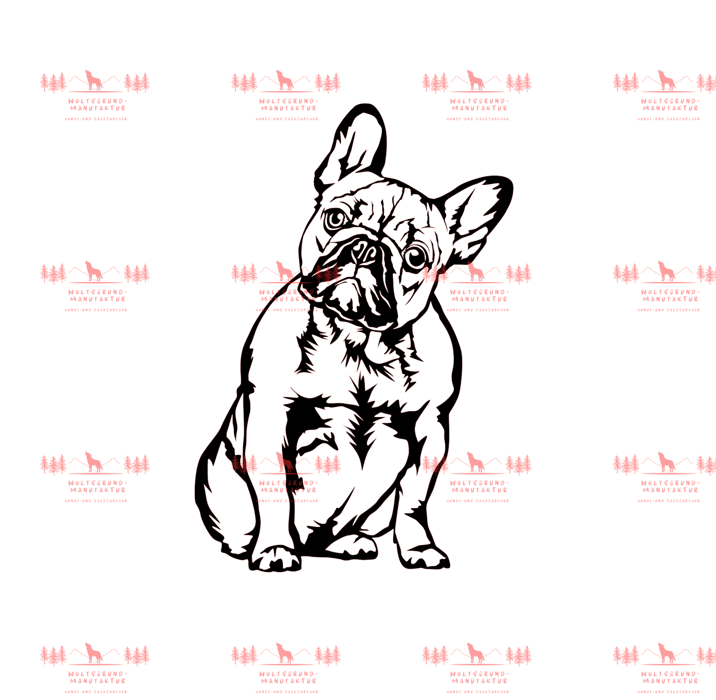 Französische Bulldogge 6