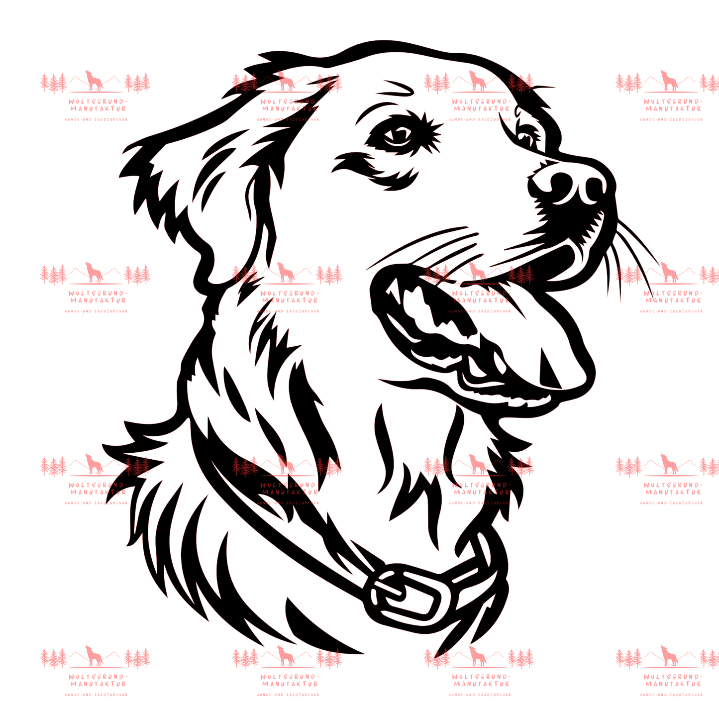 Golden Retriever 1
