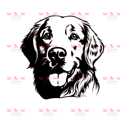Golden Retriever 2