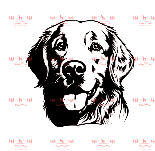 Golden Retriever 2