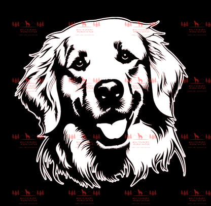 Golden Retriever 4