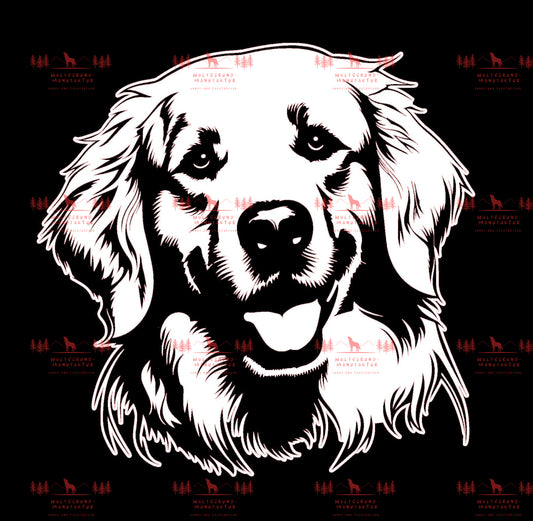 Golden Retriever 4