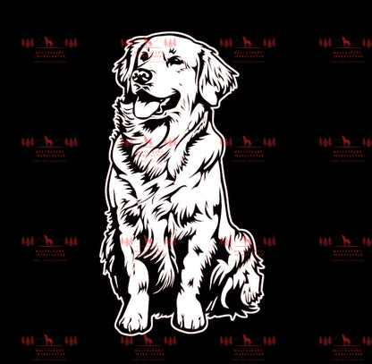 Golden Retriever 6