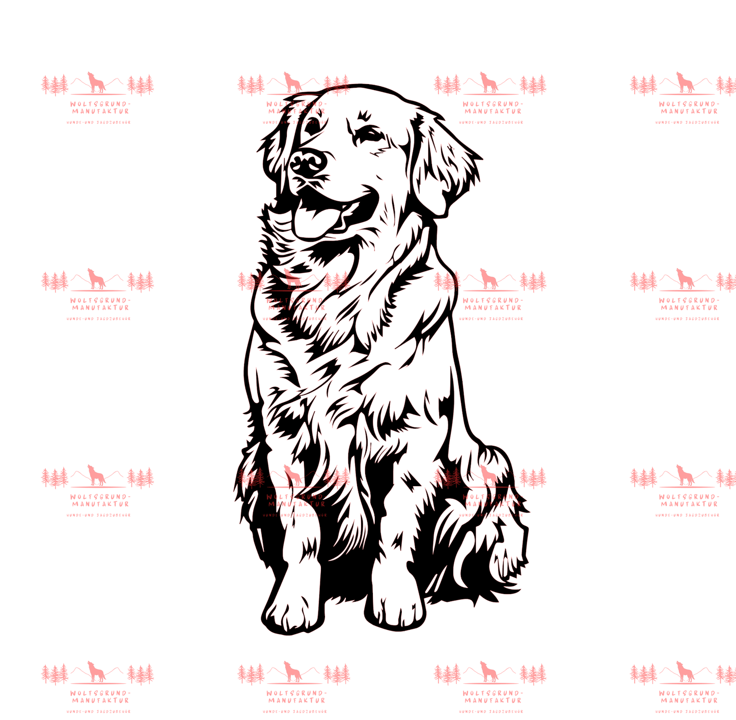 Golden Retriever 6