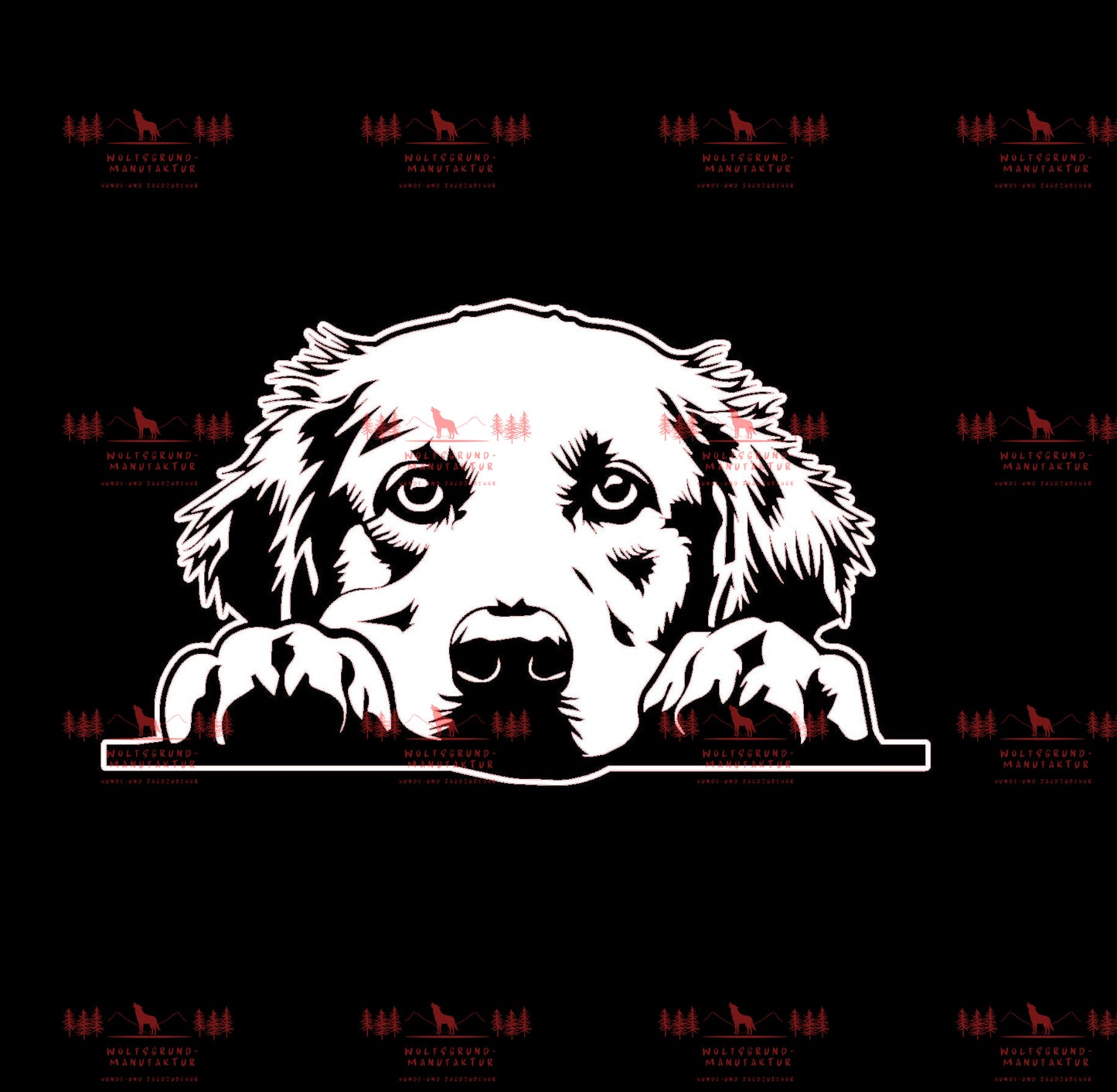 Golden Retriever 7