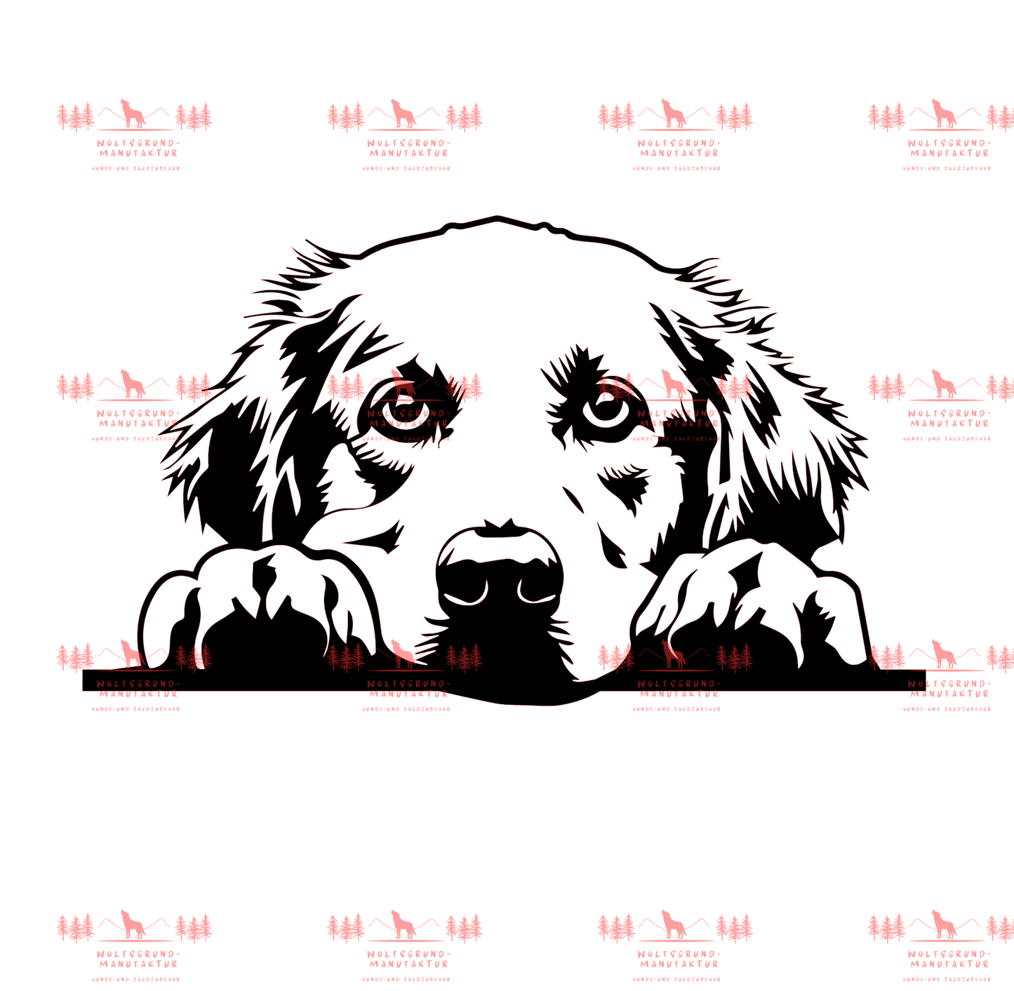 Golden Retriever 7