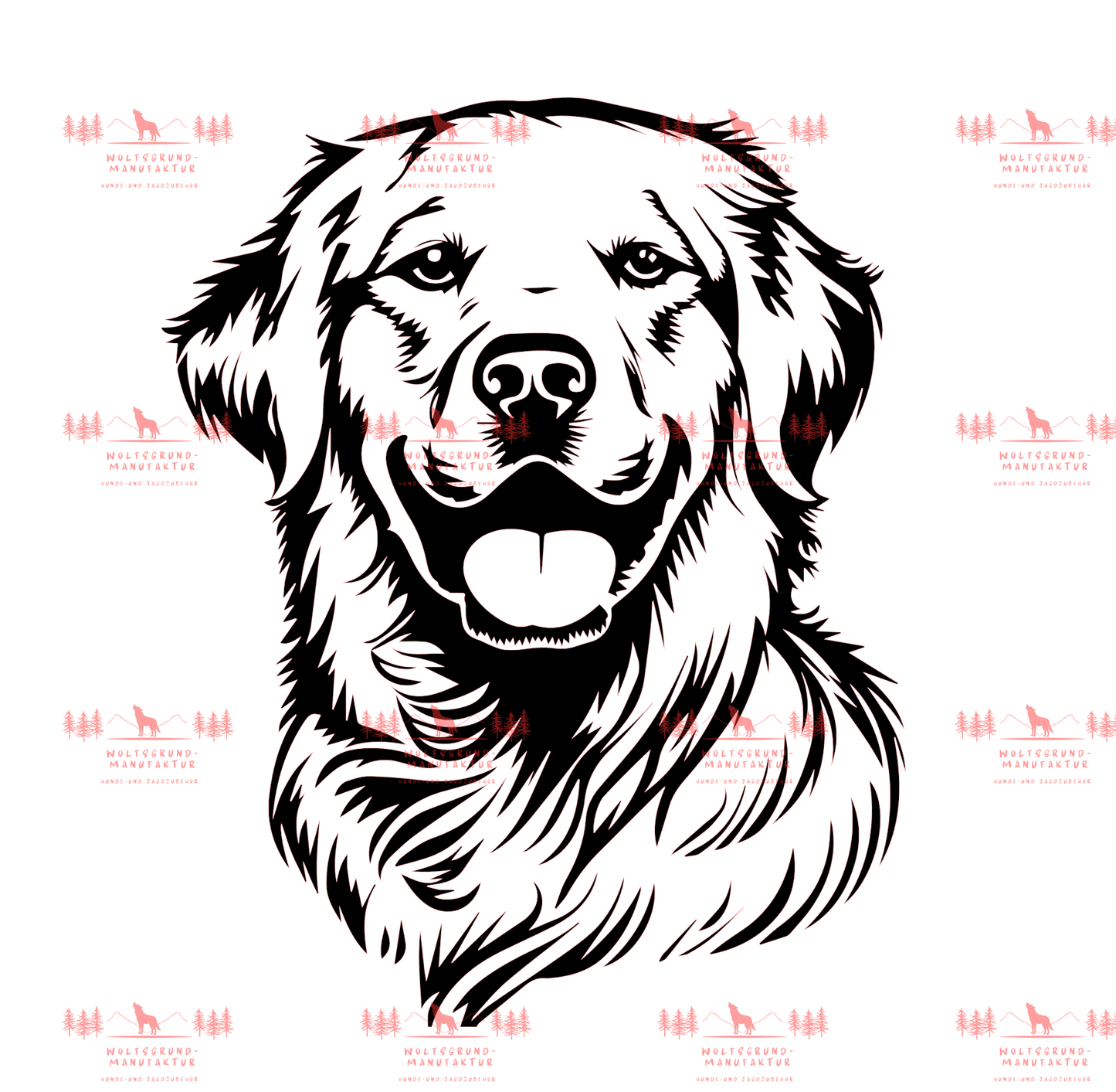 Golden Retriever 8