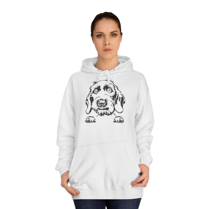 Hoodie Unisex - Dackel Drahthaar 1