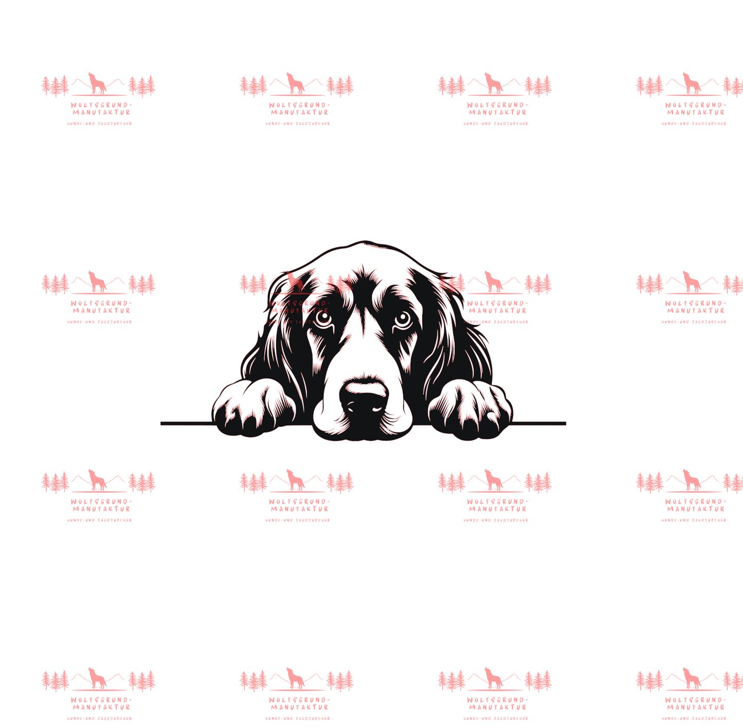 Irish Setter 1