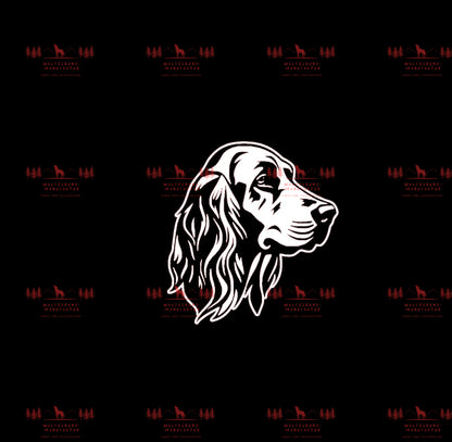 Irish Setter 2