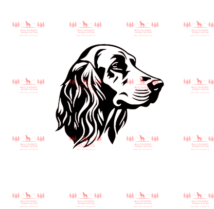 Irish Setter 2