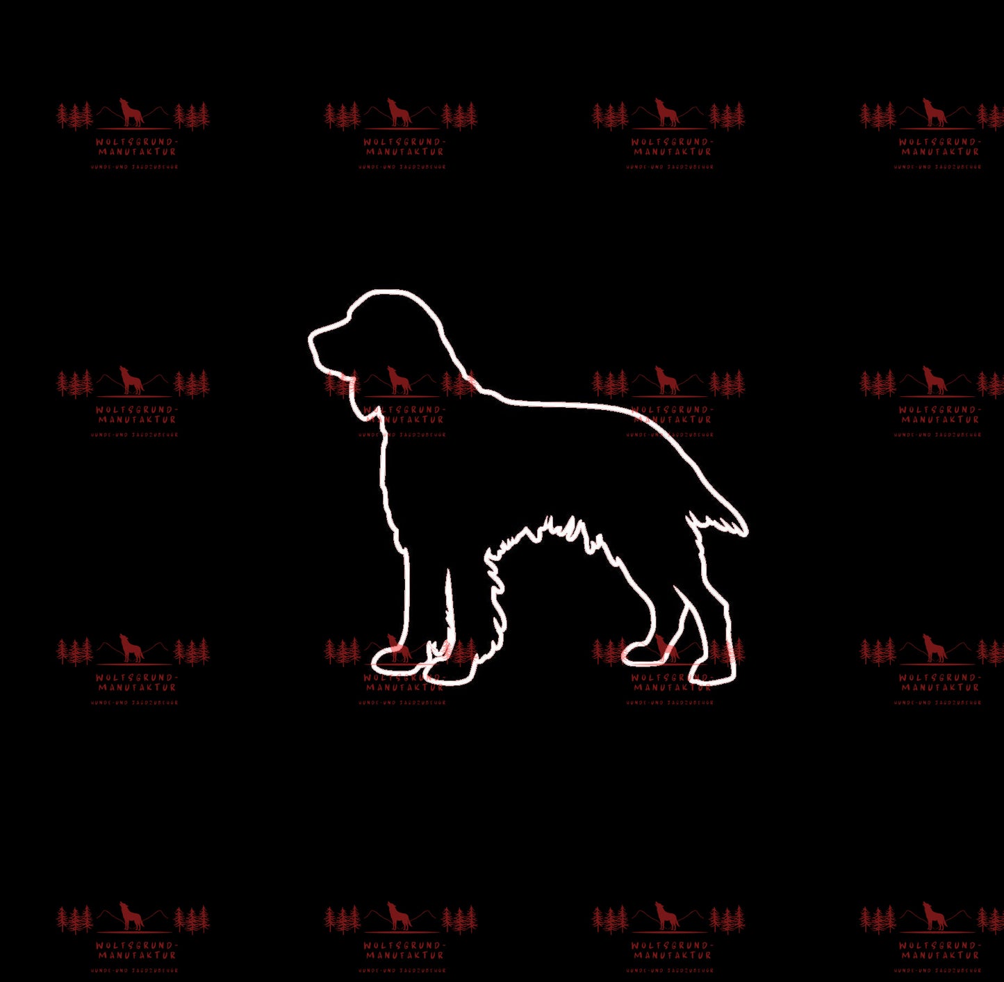 Irish Setter 3